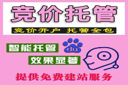 SEM运营公司案例：助力企业业绩增长